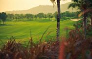 Pattana Sports Club offers among the premiere golf course within Pattaya