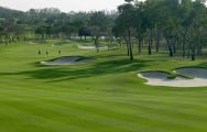 Siam Country Club Old Course features lots of the top golf course within Pattaya
