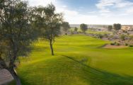 Arabian Ranches Golf Club has among the most popular golf course in Dubai