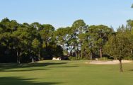 View Palmetto Golf Club's impressive golf course situated in dazzling South Carolina.