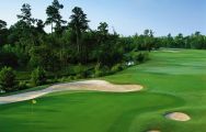 The Charleston National Golf Club's scenic golf course within dazzling South Carolina.