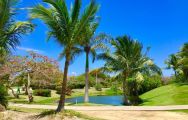 The Cocotal Golf and Country Club's lovely golf course within stunning Dominican Republic.
