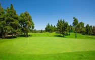 The El Chaparral Golf Club's impressive golf course situated in pleasing Costa Del Sol.