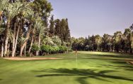 Royal Golf Marrakech's picturesque golf course within impressive Morocco.