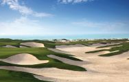 Saadiyat Beach Golf Club boasts lots of the most desirable golf course near Abu Dhabi
