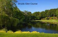 All The Druids Glen - Wicklow Golf Club's beautiful golf course within pleasing Southern Ireland.