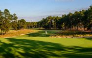 Pinehurst Resort Golf features lots of the most excellent golf course around North Carolina