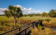 RiverTowne Country Club has got some of the most excellent golf course around South Carolina