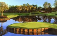 TPC Sawgrass Golf has some of the finest golf course in Florida