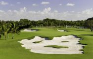 Trump National Doral Miami Golf provides among the preferred golf course in Florida