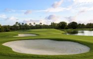 Trump National Doral Miami Golf includes among the most excellent golf course within Florida