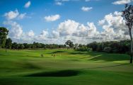 Puntacana Golf Club includes lots of the premiere golf course within Dominican Republic