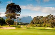 Steenberg Golf Club carries among the best golf course within South Africa