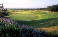 View The Links at Spanish Bay's impressive golf course in sensational California.