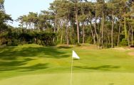Golf de Chiberta has got lots of the most excellent golf course within South-West France