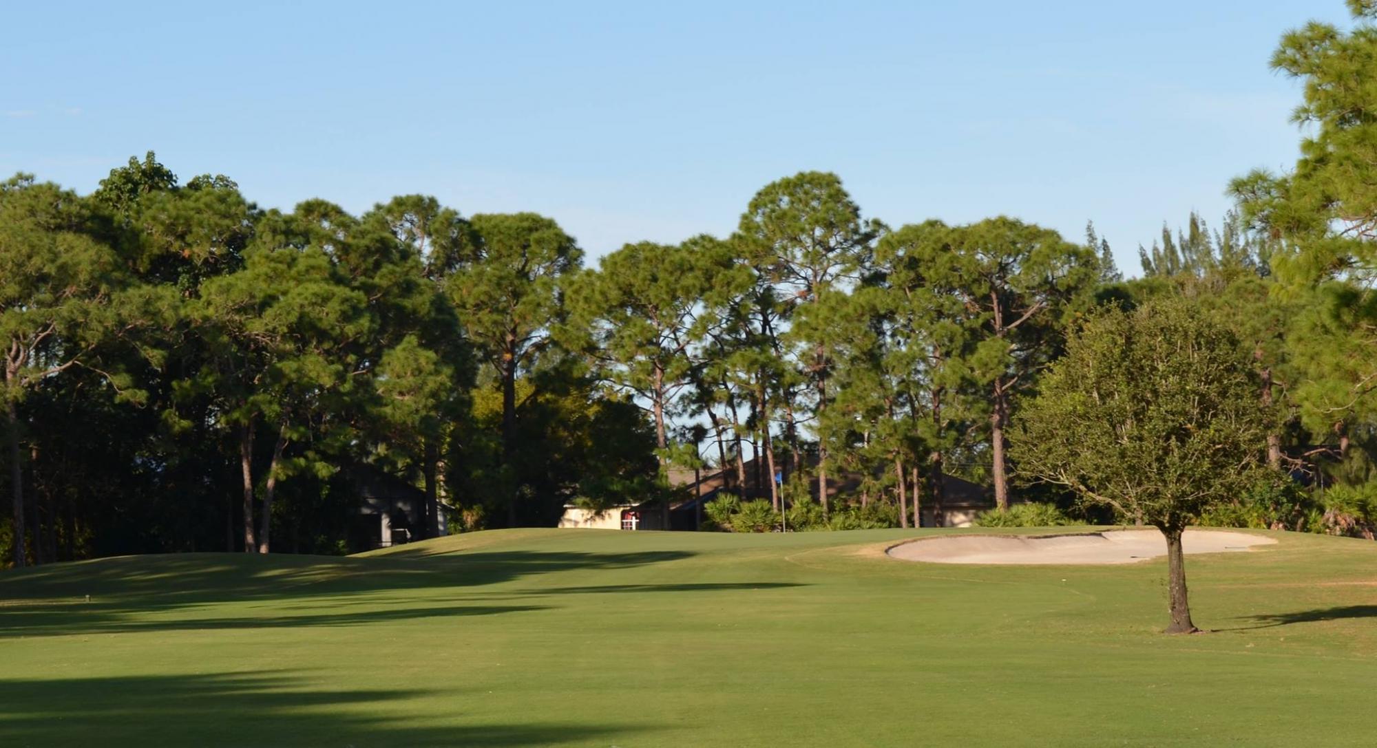 View Palmetto Golf Club's impressive golf course situated in dazzling South Carolina.