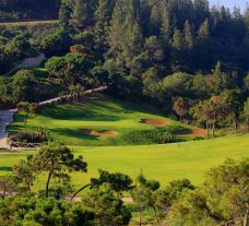 The El Chaparral Golf Club's beautiful golf course within pleasing Costa Del Sol.