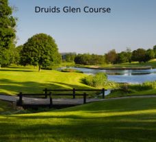 Druids Glen - Wicklow Golf Club hosts several of the preferred golf course near Southern Ireland