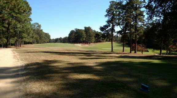 The Palmetto Golf Club's impressive golf course within brilliant South Carolina.