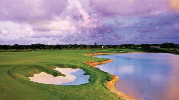 View Hard Rock Golf Club at Cana Bay's scenic golf course within incredible Dominican Republic.